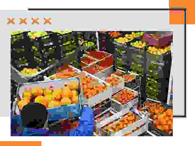 Перевозка скоропортящихся продуктов в Алексине